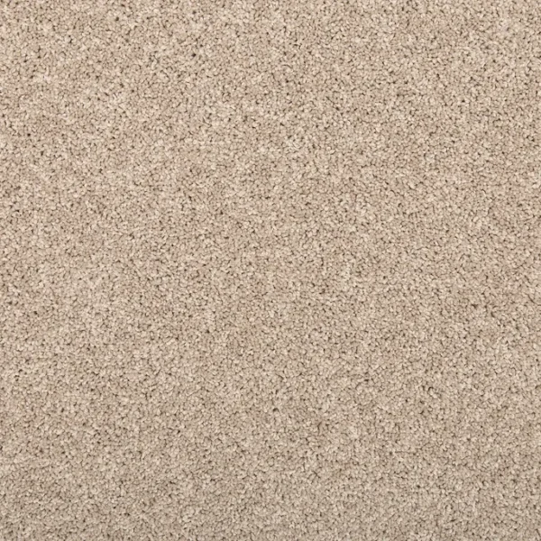 EverStrand | Vitalize I - Havana