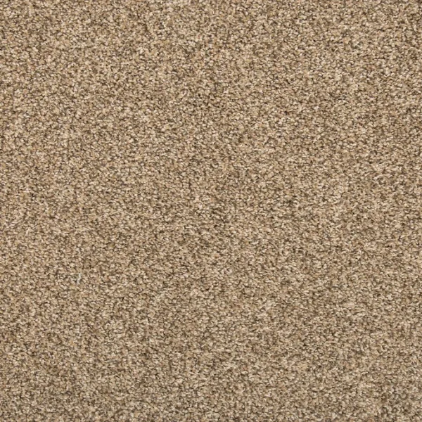 EverStrand | Vitalize I - Ash