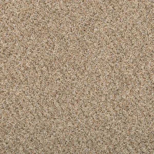 EverStrand | Vitalize I - Silver Dollar