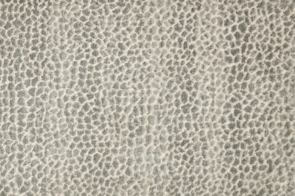 Allegory - Silverfox