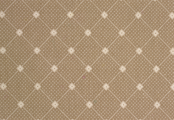 Andromeda - Driftwood